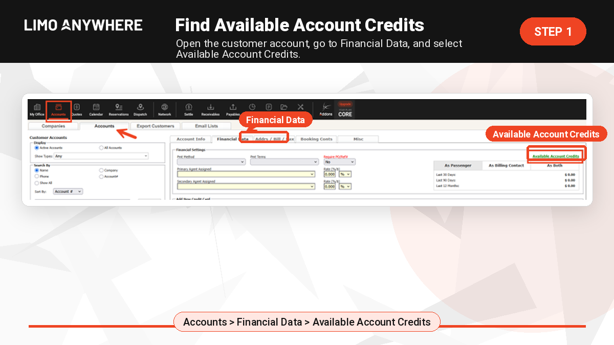 Financial Data tab in Limo Anywhere showing the Available Account Credits link